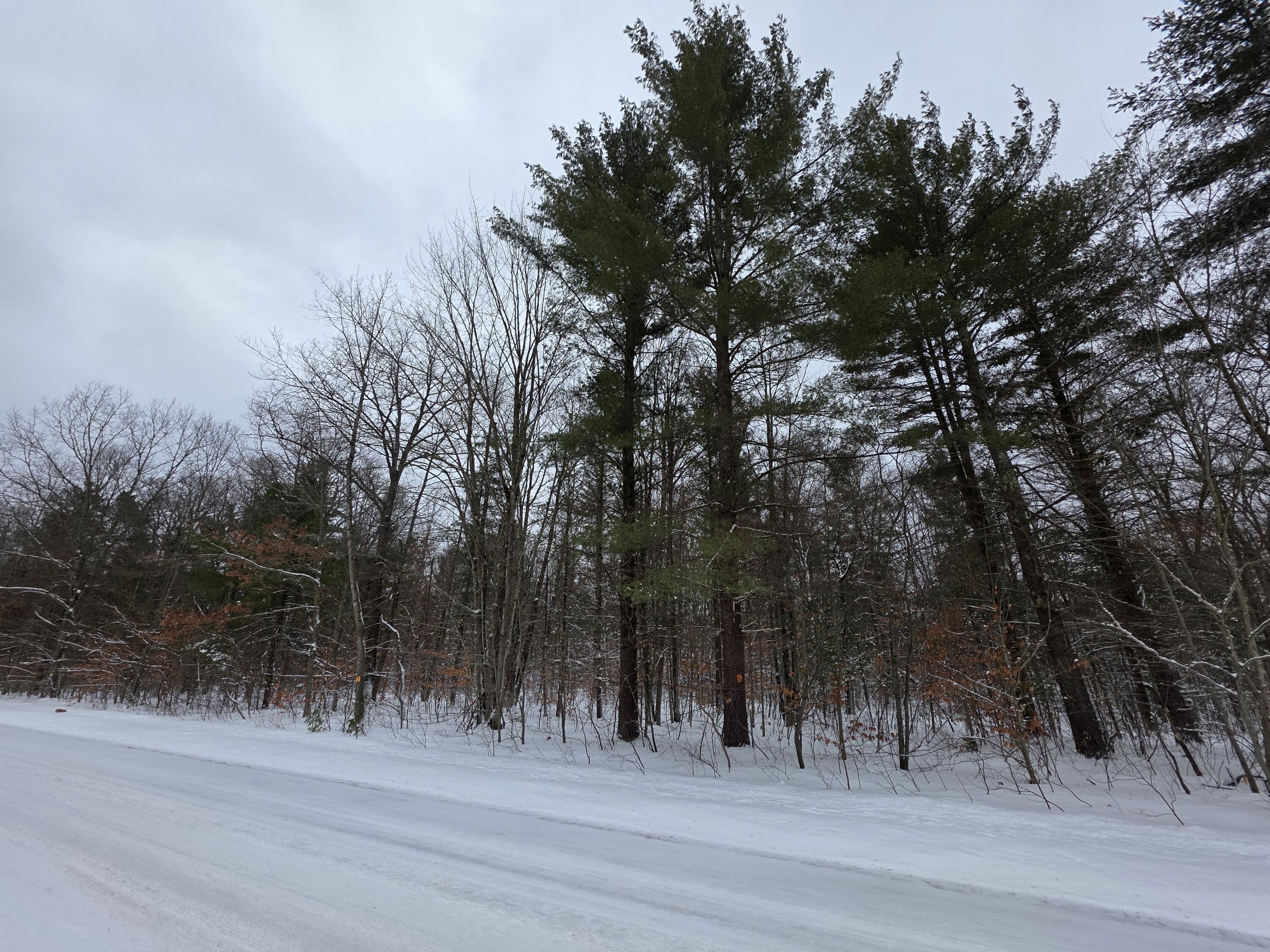 Coates Highway Brethren, MI 49619 - Photo 8 of 15 20251230_113333_resized