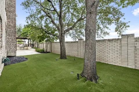 a view of a yard with a tree