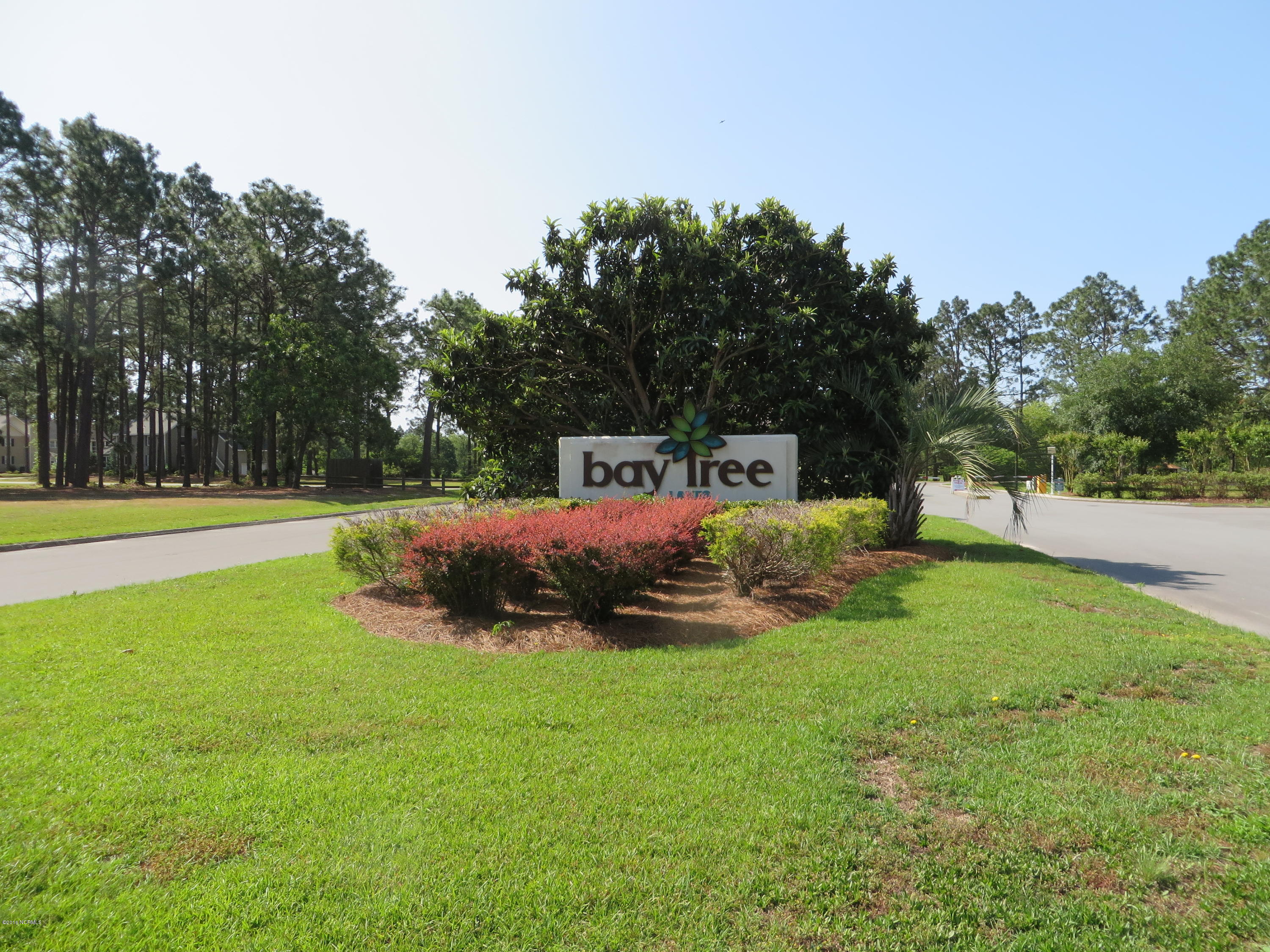 223 Oak Island Road Harrells, NC 28444 - Photo 1 of 5 bay tree 008