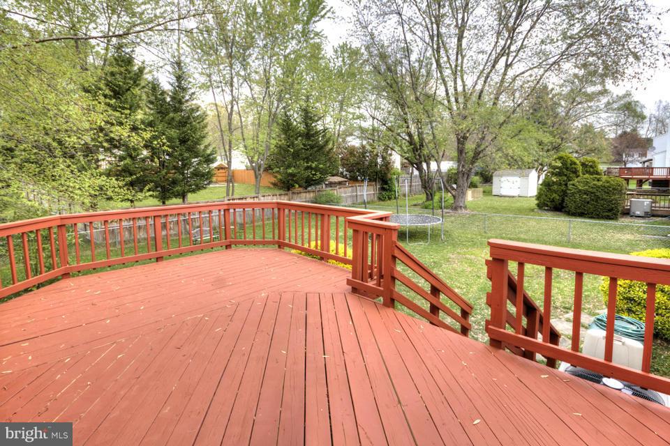 5815 Heming Avenue Springfield, VA 22151 - Photo 25 of 27 Exterior (Rear)