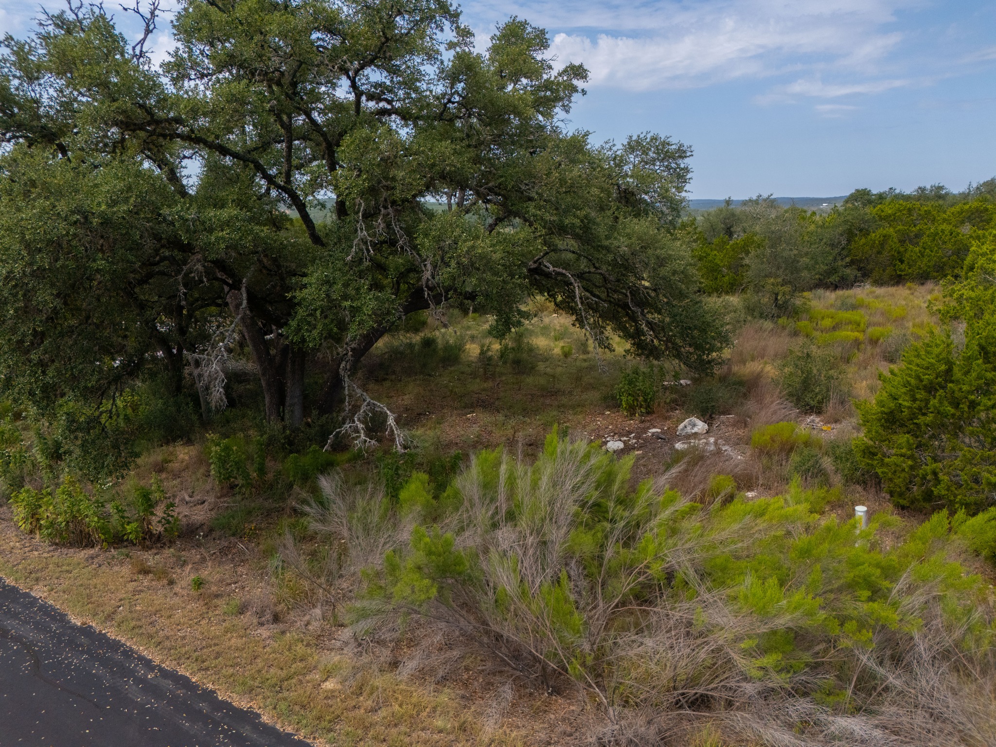 115 Upper River Place Spring Branch, TX 78070 - Photo 12 of 19 Mature trees and native foliage line the edge of this serene country property.