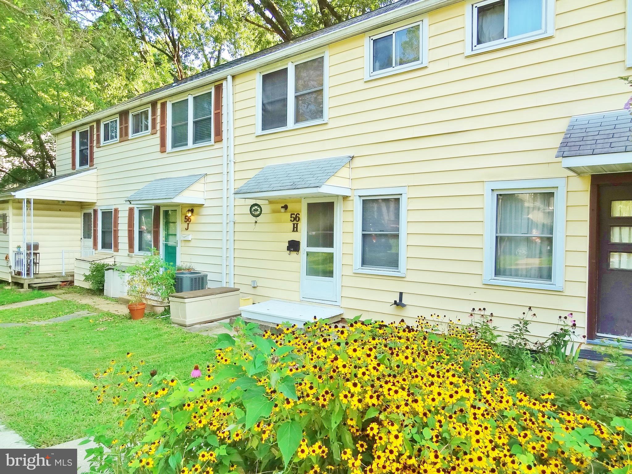 Front Yard