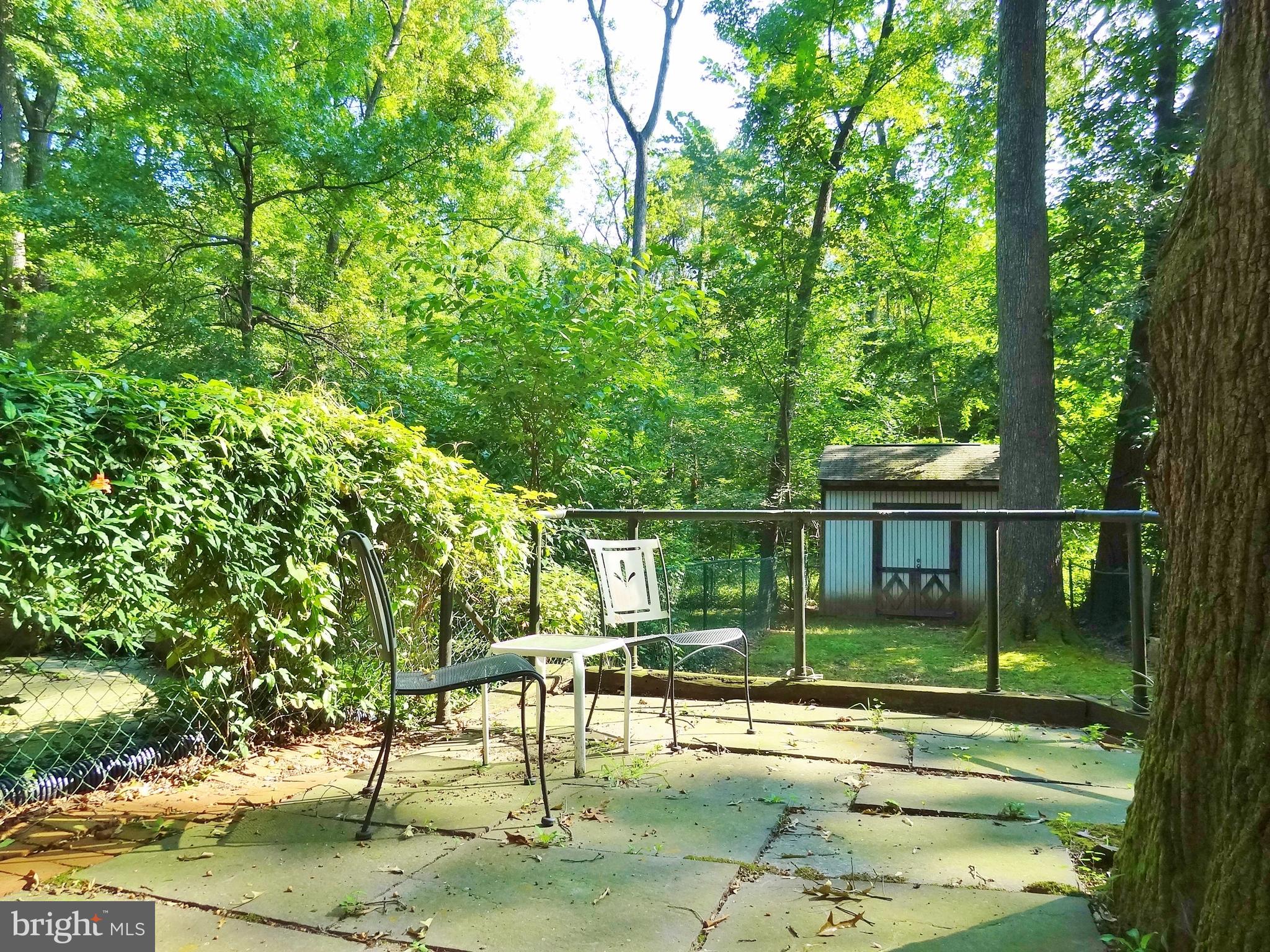 56 Ridge Road, Unit H Greenbelt, MD 20770 - Photo 7 of 10 Shaded backyard with patio and spacious shed