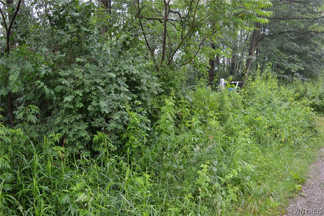 V/l Center Road Cassadaga, NY 14718 - Photo 1 of 1
