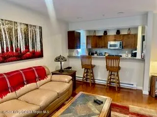 a living room with furniture or couch and a wooden floor