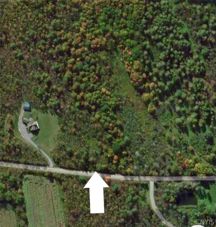 0 Owahgena Road Manlius, NY 13104 - Photo 5 of 6 Gallery Image 5