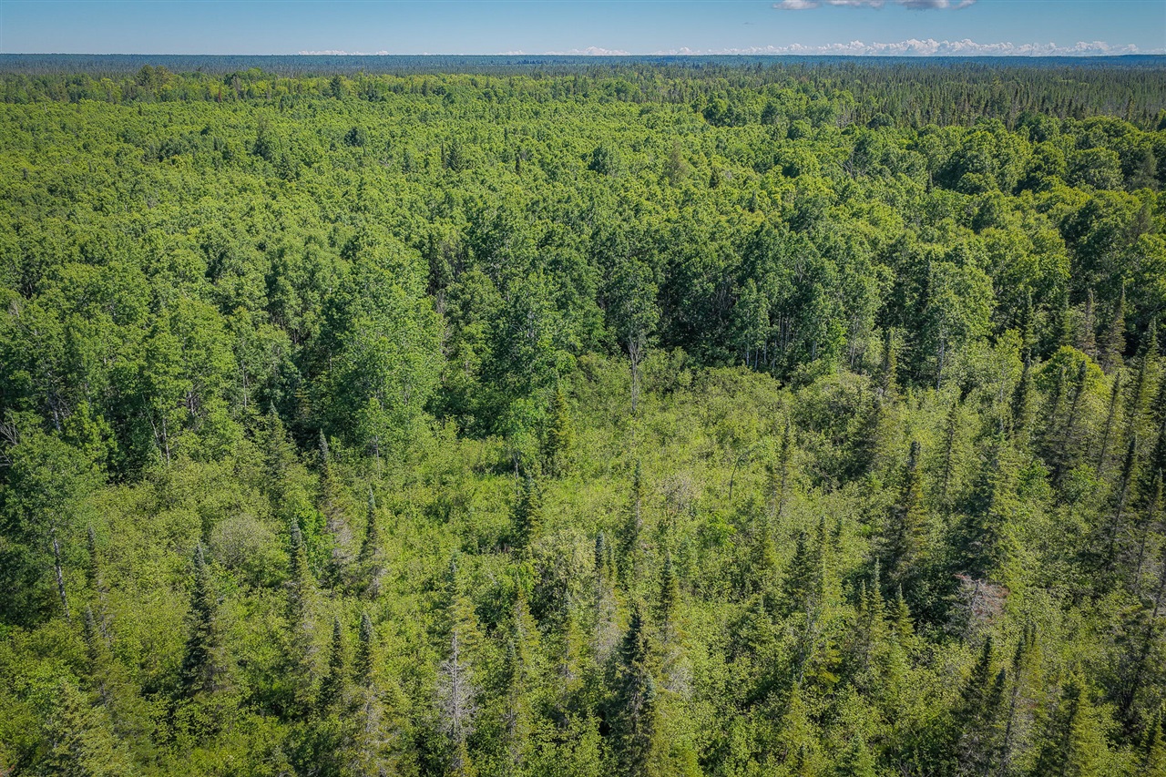 South North Hulbert Road Eckerman, MI 49728 - Photo 6 of 29