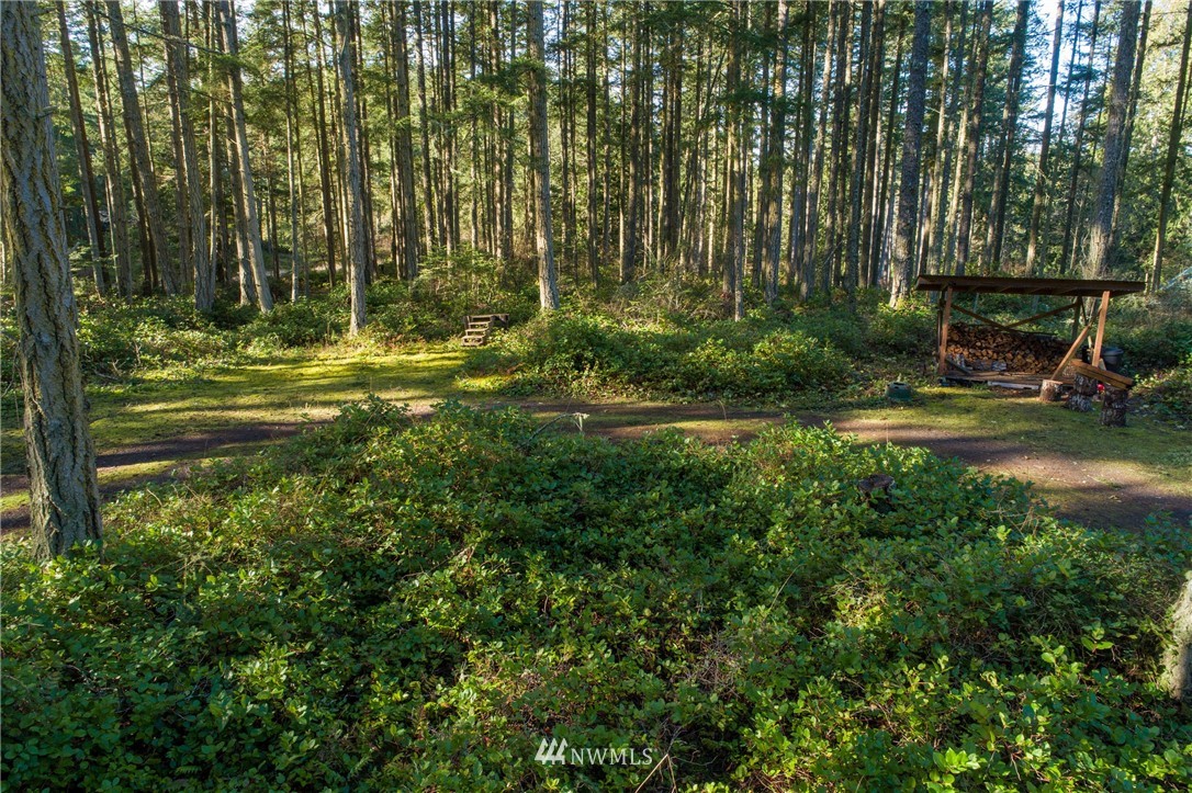 6792 Roche Harbor Road San Juan Island, WA 98250 - Photo 22 of 36 Gallery Image 22