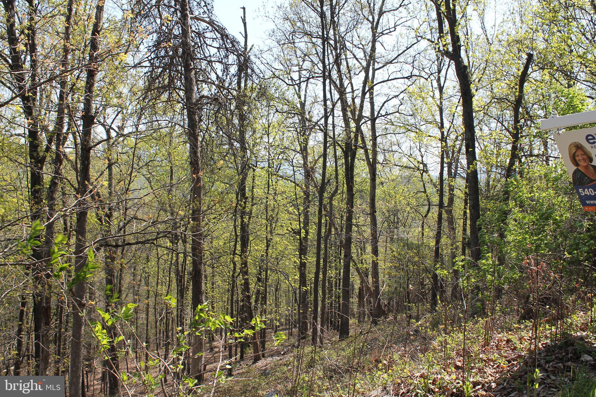 Hillandale Road Front Royal, VA 22630 - Photo 10 of 11