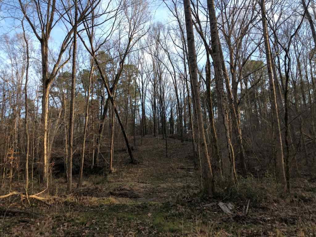 3695 Shady Grove Road Durant, MS 39063 - Photo 7 of 43 Photo 7