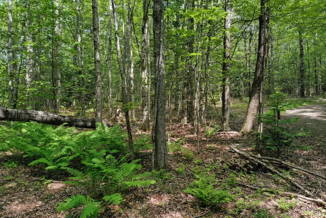 $41,900 | M5-l24 Goosepecker Ridge Road, Montville, ME 04941