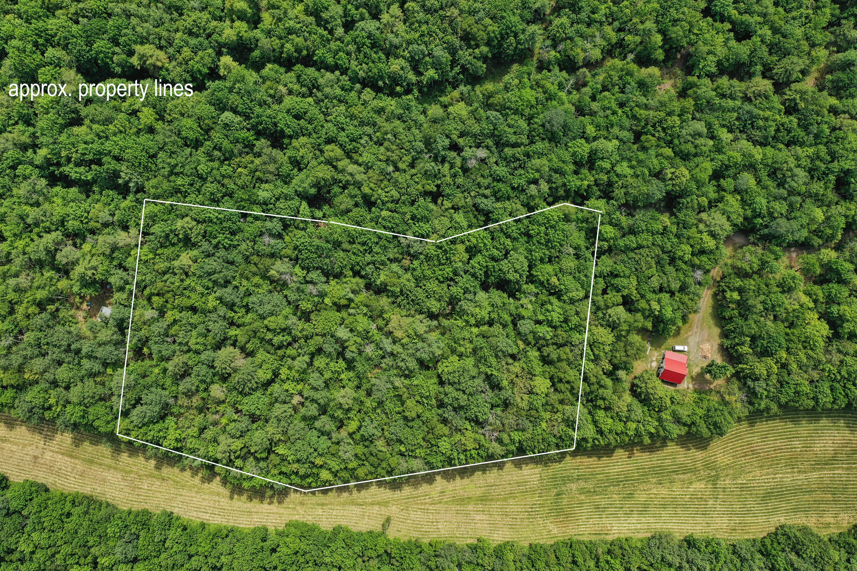 M5-l24 Goosepecker Ridge Road Montville, ME 04941 - Photo 4 of 15 DJI_0541a