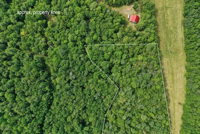 $41,900 | M5-l24 Goosepecker Ridge Road, Montville, ME 04941