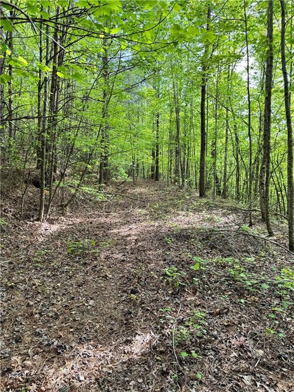 2 Shyers Ford Road Talking Rock, GA 30175 - Photo 12 of 22 Gallery Image 12