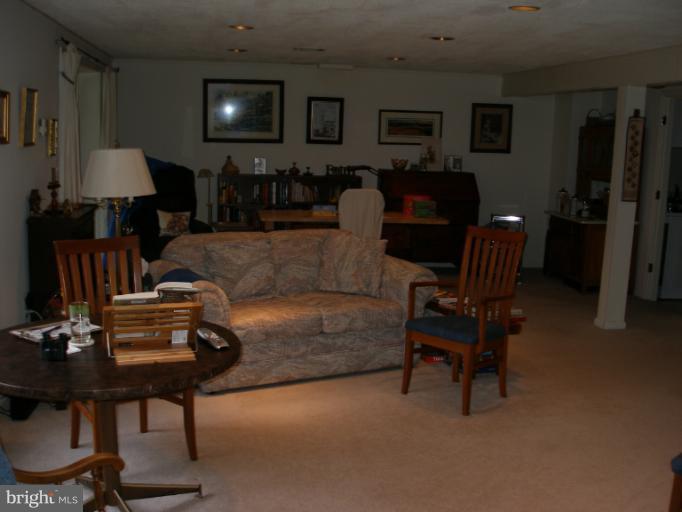 5248 Braddock Road Woodbine, MD 21797 - Photo 3 of 7 Basement