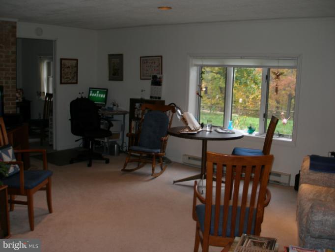 5248 Braddock Road Woodbine, MD 21797 - Photo 6 of 7 Basement