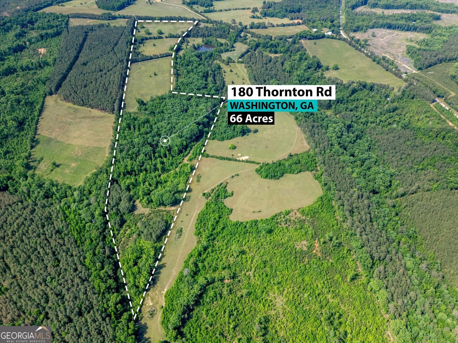 0 Thornton Road Washington, GA 30673 - Photo 3 of 6