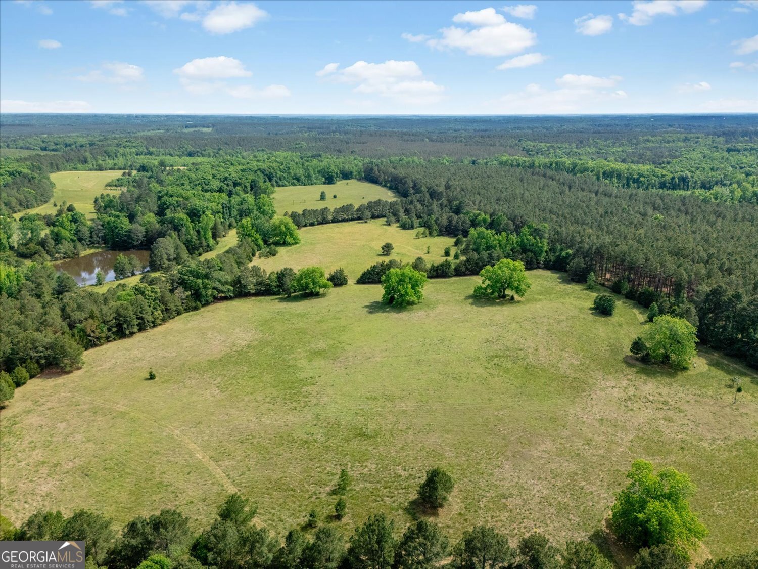0 Thornton Road Washington, GA 30673 - Photo 4 of 6