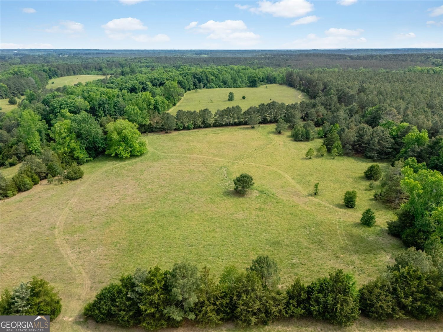 0 Thornton Road Washington, GA 30673 - Photo 5 of 6