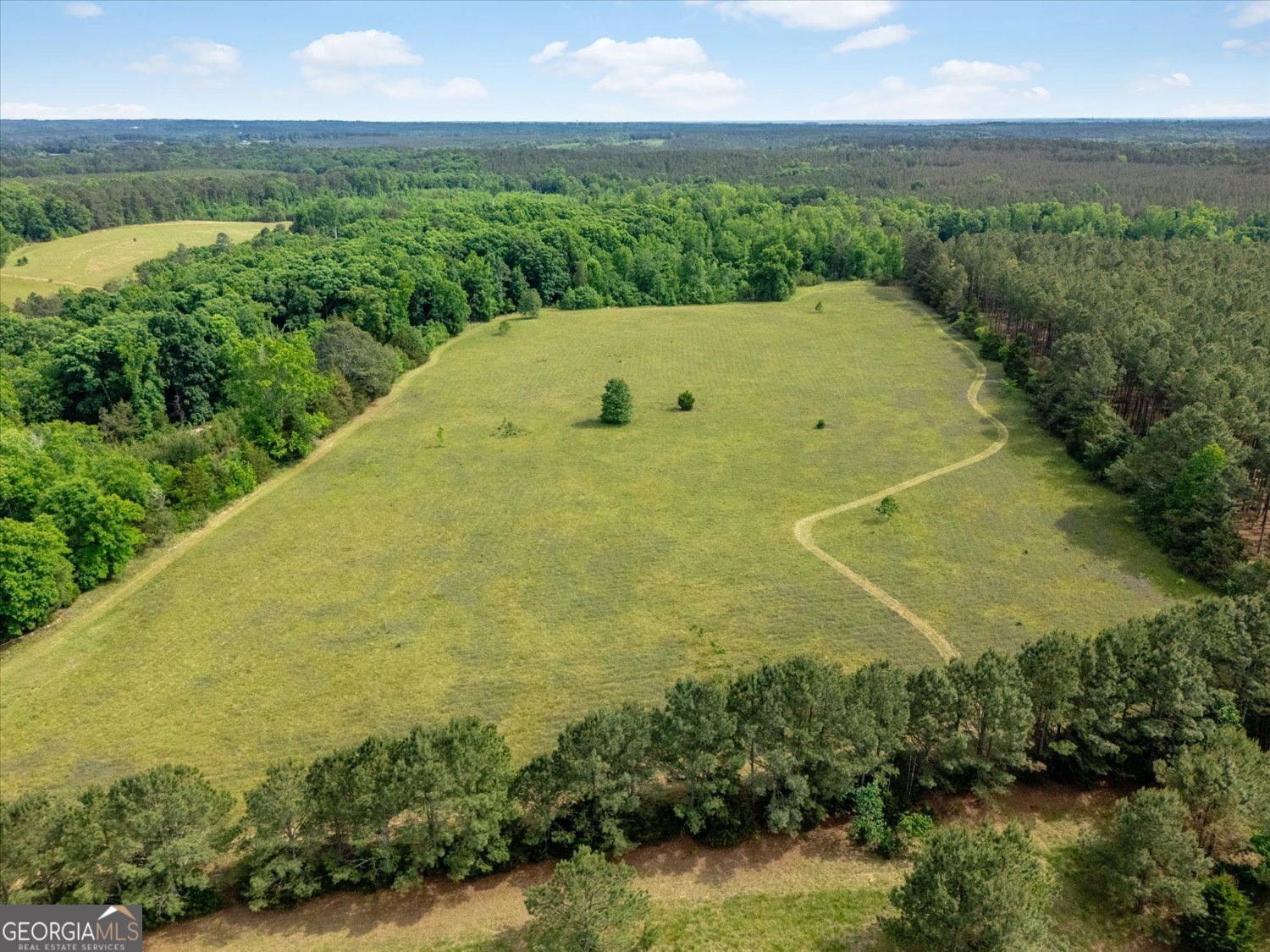 0 Thornton Road Washington, GA 30673 - Photo 6 of 6