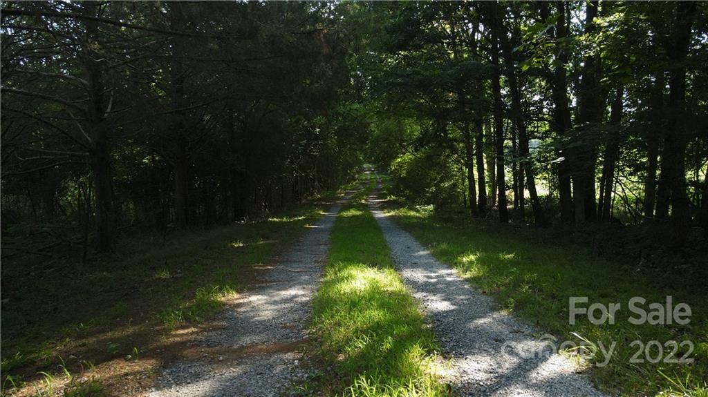 9030 Potter Road Lancaster, SC 29720 - Photo 22 of 26 a view of yard