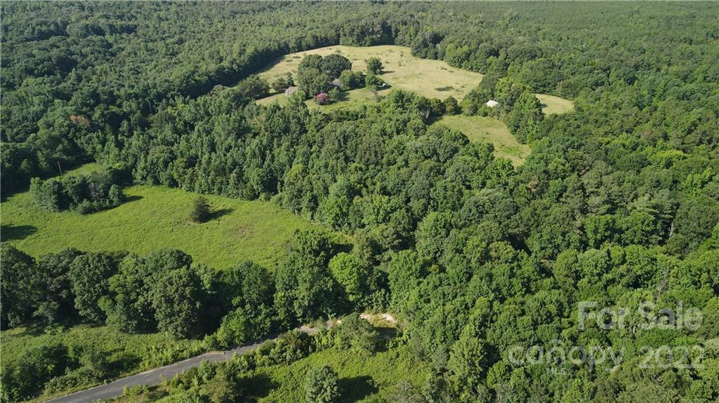 9030 Potter Road Lancaster, SC 29720 - Photo 24 of 26 a view of a lush green forest