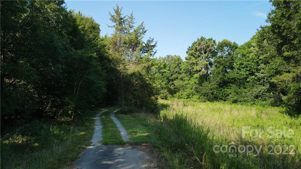 9030 Potter Road Lancaster, SC 29720 - Photo 6 of 26 a view of a garden