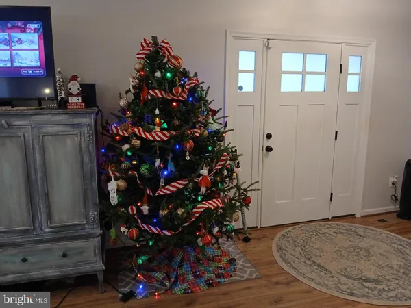 a room with wooden floor and a potted plant