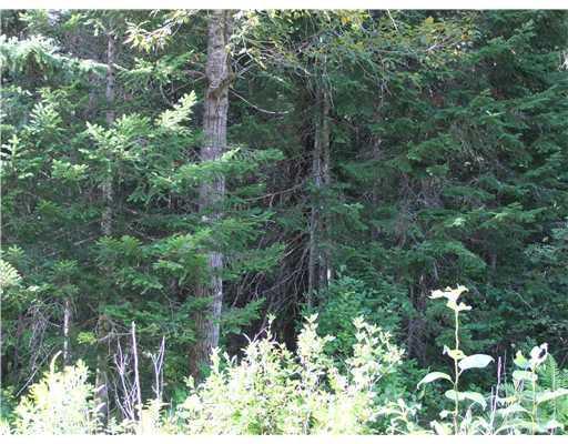 Lot 13 Hersom Road Easton, ME 04740 - Photo 7 of 10 Land.