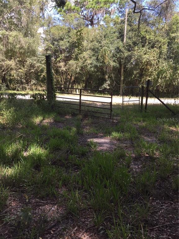 881 West County Line Road Zephyrhills, FL 33540 - Photo 1 of 1 Gallery Image 1