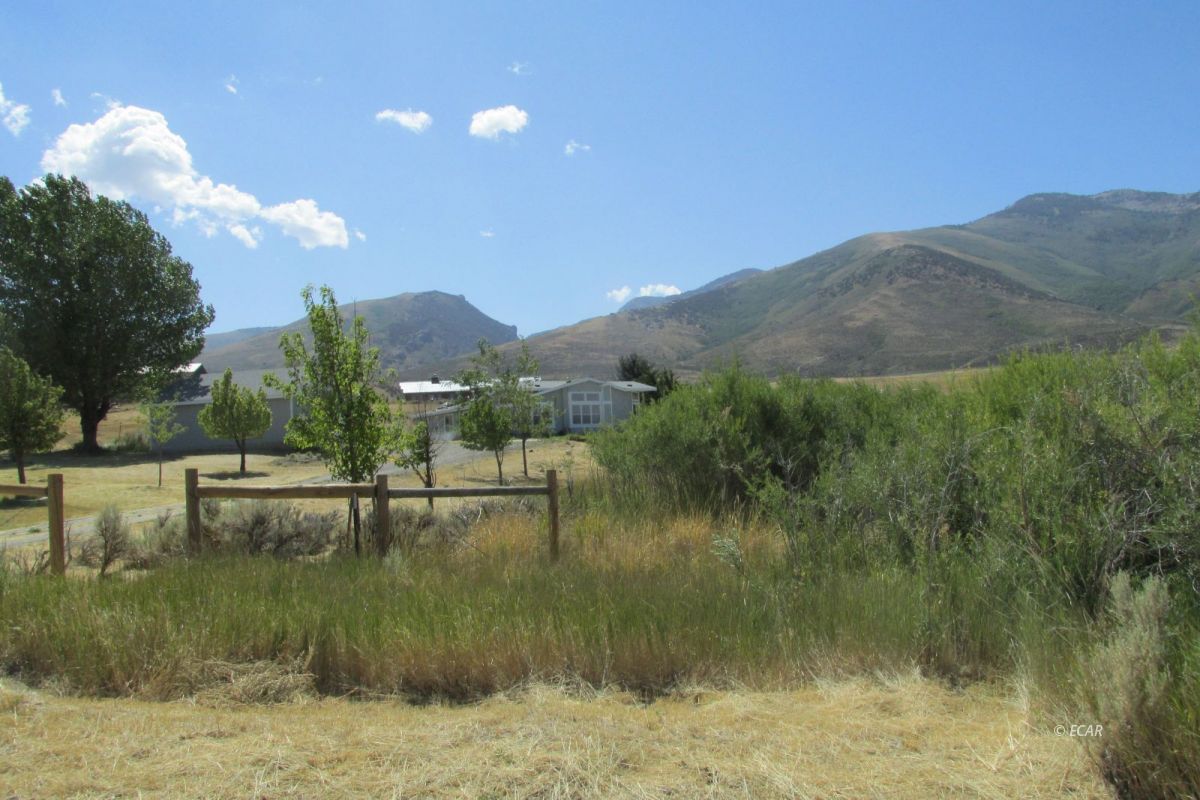 2701 Mountain View Road Lamoille, NV 89828 - Photo 11 of 40 Gallery Image 11