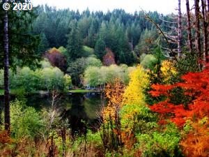 71389 Fishhawk Road Birkenfeld, OR 97016 - Photo 1 of 22