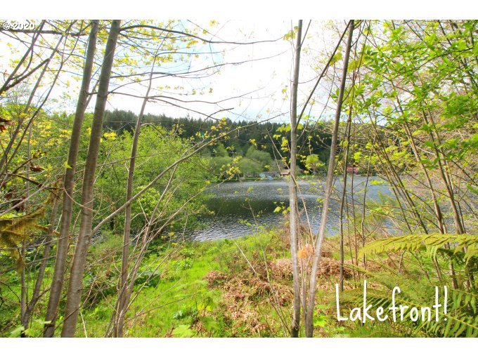71389 Fishhawk Road Birkenfeld, OR 97016 - Photo 2 of 22