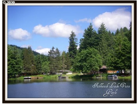 71389 Fishhawk Road Birkenfeld, OR 97016 - Photo 15 of 22