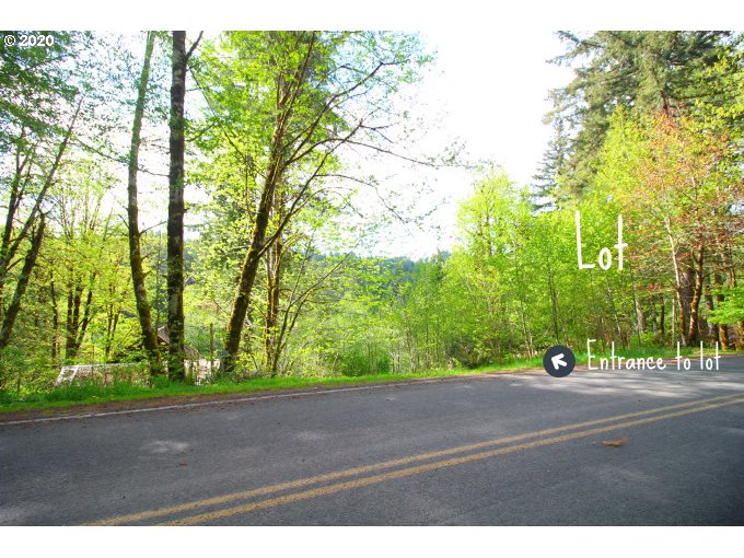 71389 Fishhawk Road Birkenfeld, OR 97016 - Photo 4 of 22