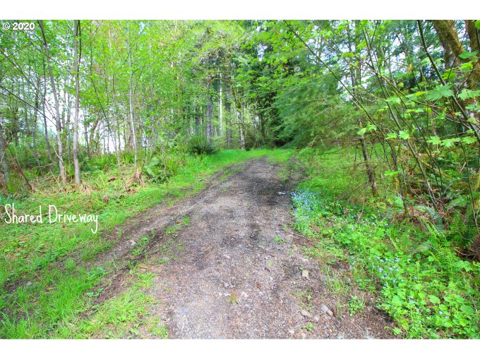 71389 Fishhawk Road Birkenfeld, OR 97016 - Photo 8 of 22