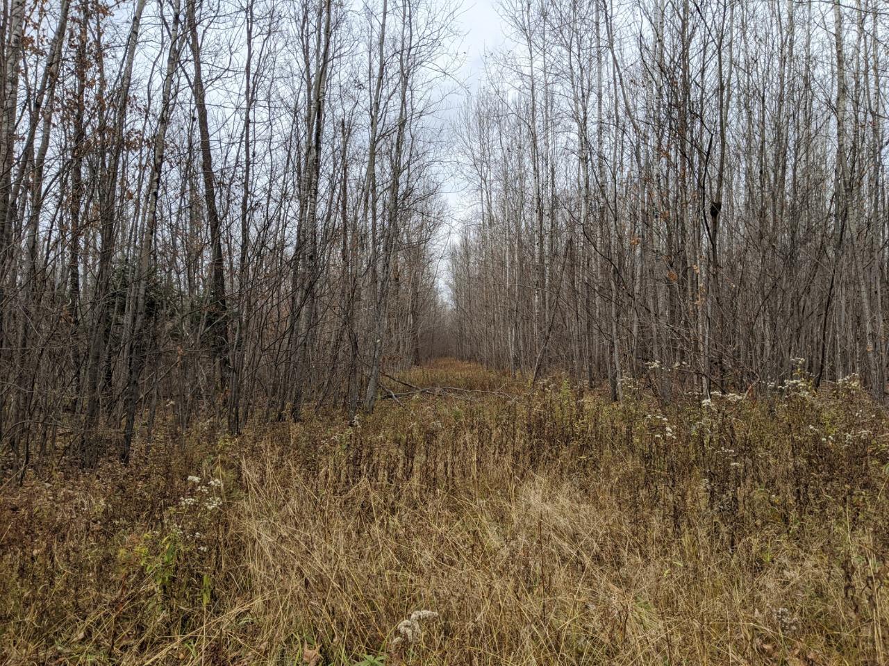 On East Buckhorn Road Park Falls, WI 54552 - Photo 15 of 25 Gallery Image 15