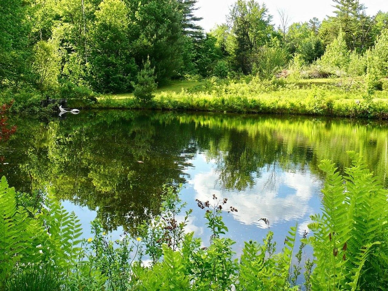 159 Tracy Hill Road Roxbury, VT 05669 - Photo 55 of 58