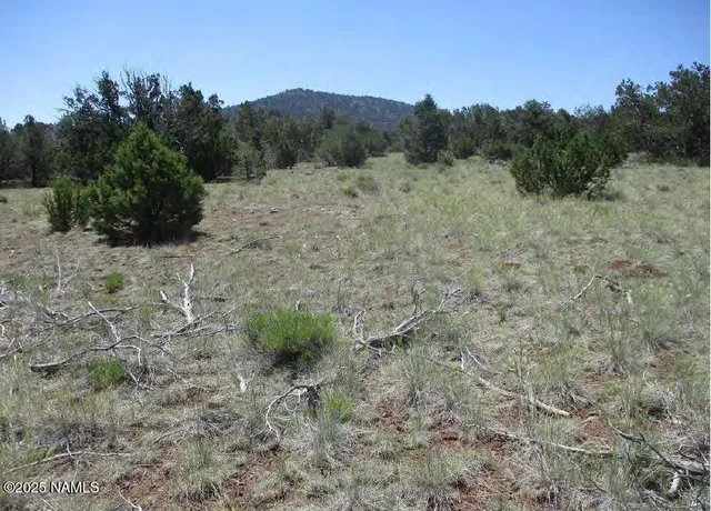 $2,150,000 | 0 Espee Road, Williams, AZ 86046