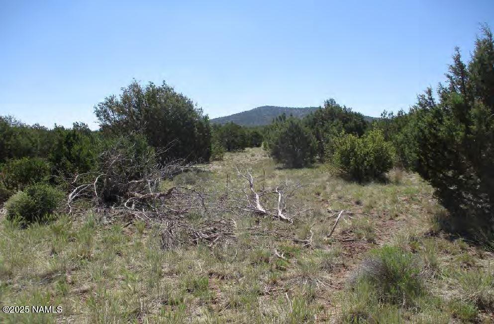 0 Espee Road Williams, AZ 86046 - Photo 14 of 14 Interior