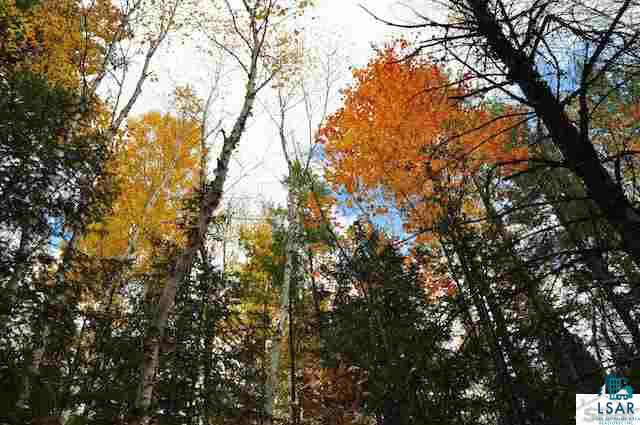 0 County Rd C High Bridge, WI 54846 - Photo 1 of 21