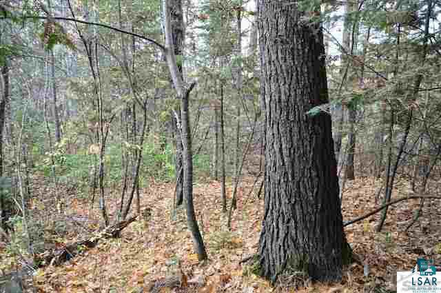 0 County Rd C High Bridge, WI 54846 - Photo 11 of 21