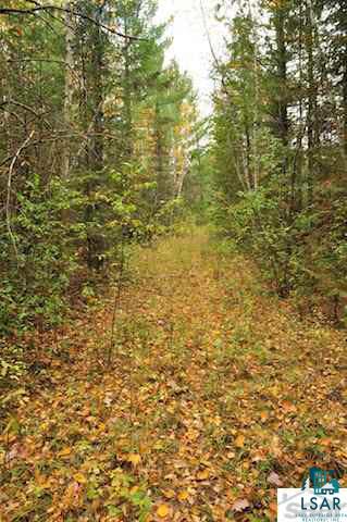0 County Rd C High Bridge, WI 54846 - Photo 12 of 21
