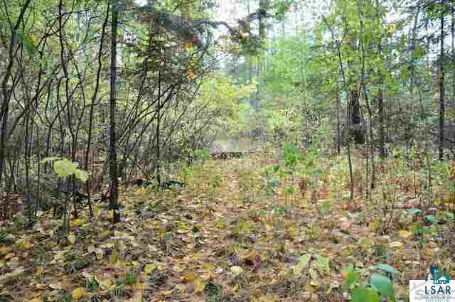 0 County Rd C High Bridge, WI 54846 - Photo 13 of 21