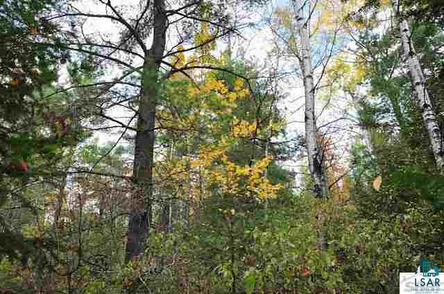0 County Rd C High Bridge, WI 54846 - Photo 14 of 21