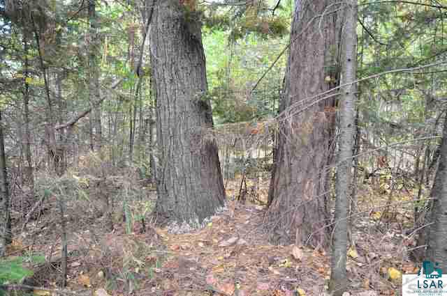 0 County Rd C High Bridge, WI 54846 - Photo 15 of 21