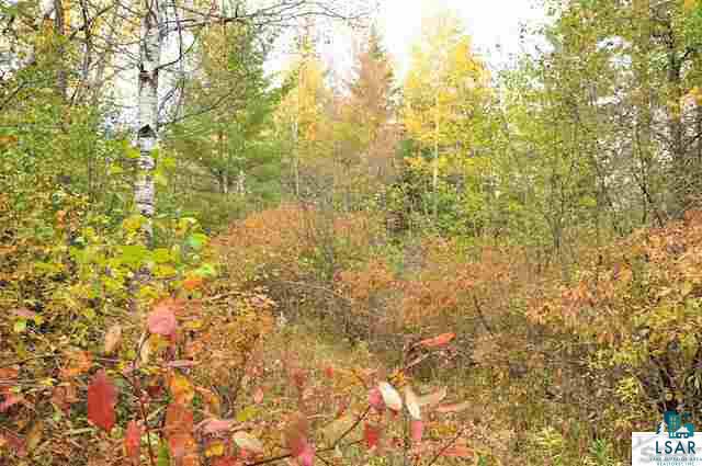 0 County Rd C High Bridge, WI 54846 - Photo 17 of 21