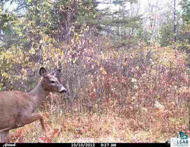 0 County Rd C High Bridge, WI 54846 - Photo 18 of 21
