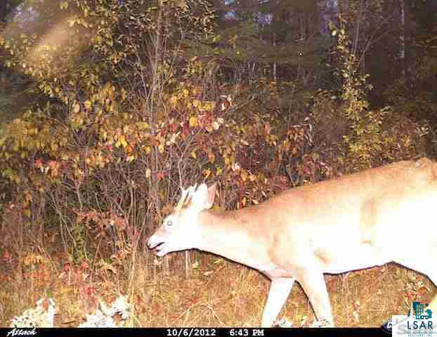 0 County Rd C High Bridge, WI 54846 - Photo 19 of 21
