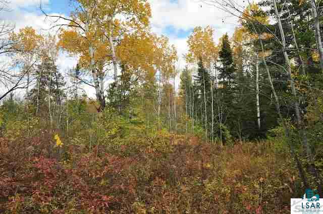 0 County Rd C High Bridge, WI 54846 - Photo 2 of 21